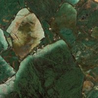 ���� Apple Jasper