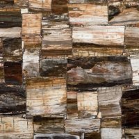 Petrified Wood Classic