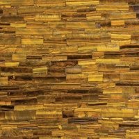 Tiger Eye