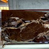 Slab Tempesto Gialla