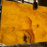 ����� ������ ����� 20 ��